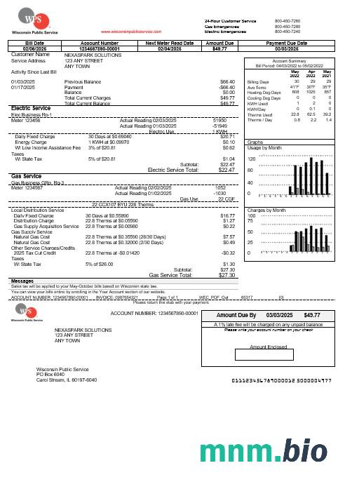 Szablon rachunku za media Biznesowe w USA WPS w formatach Word i PDF